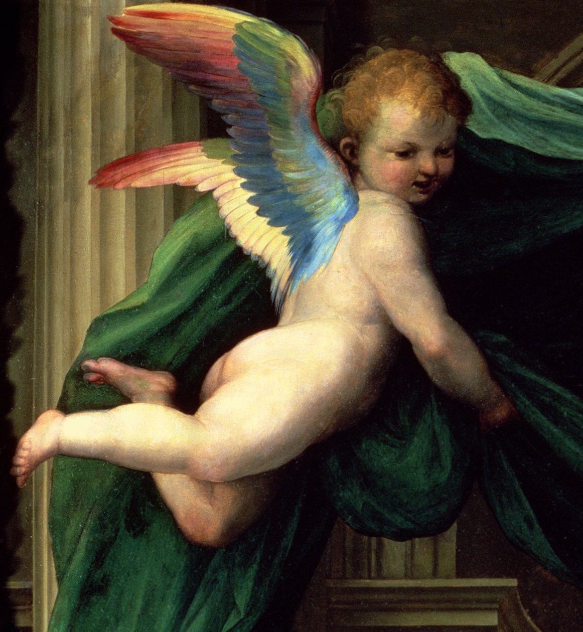 Mystický sňatek svaté Kateřiny Sienské se svatými, detail anděla, 1511 olej na panelu detail 93870 od Fra Bartolommeo