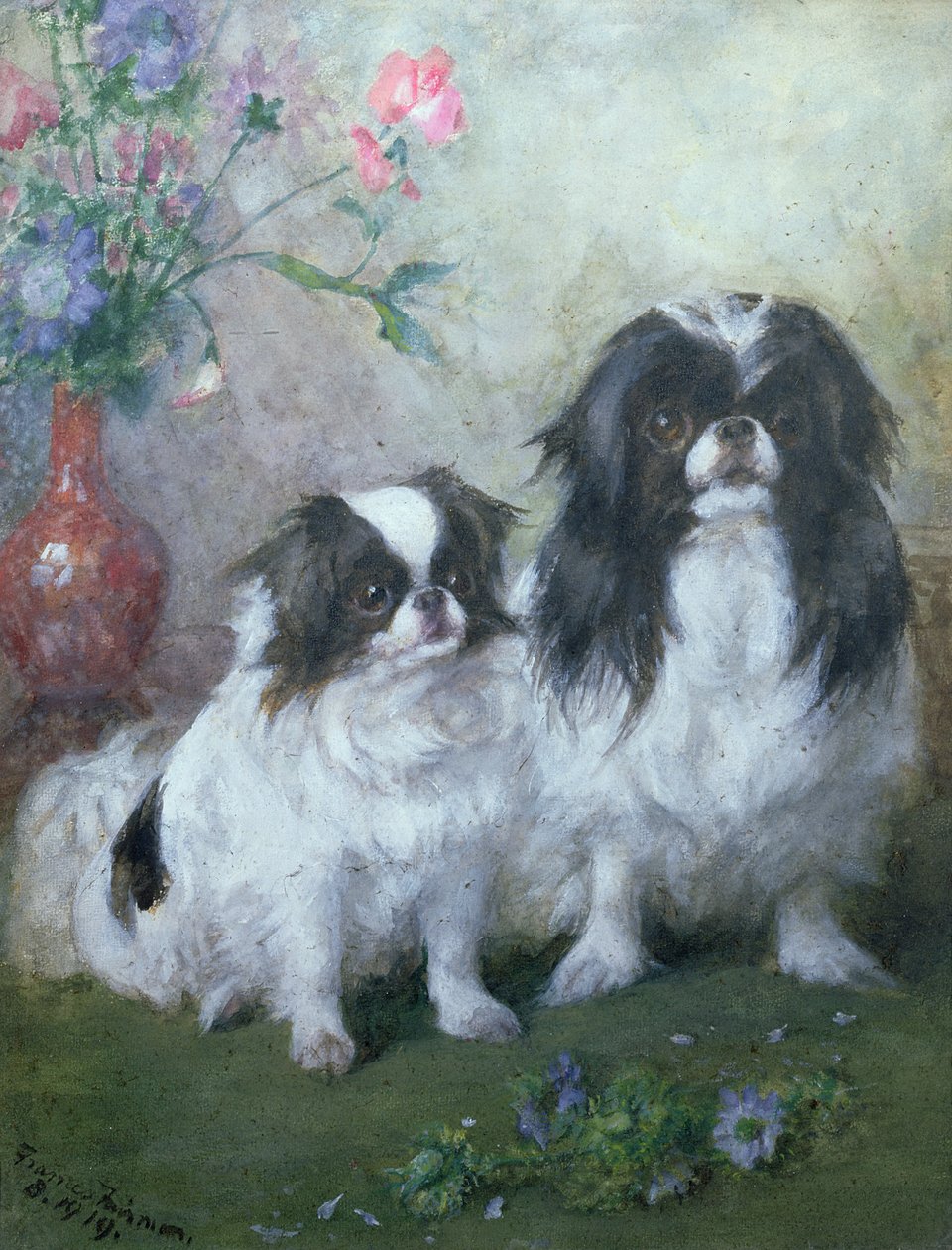 Japonská brada a její štěně, 1919 (kvaš a wc) od Frances C. Fairman
