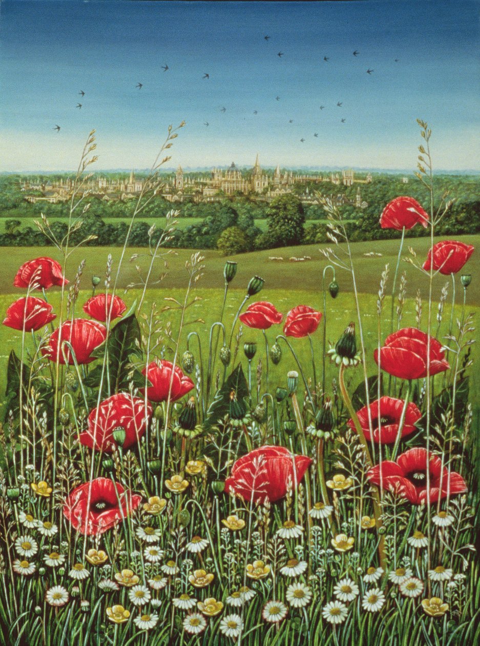 Oxford Poppies, 1983 (olej a tempera na panelu) od Frances Broomfield