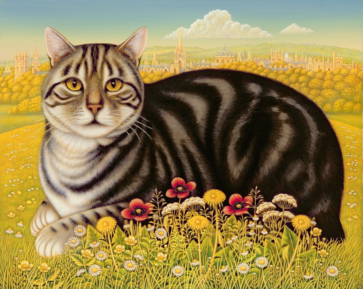 Oxford Cat, 2001 (olej a tempera na panelu) od Frances Broomfield