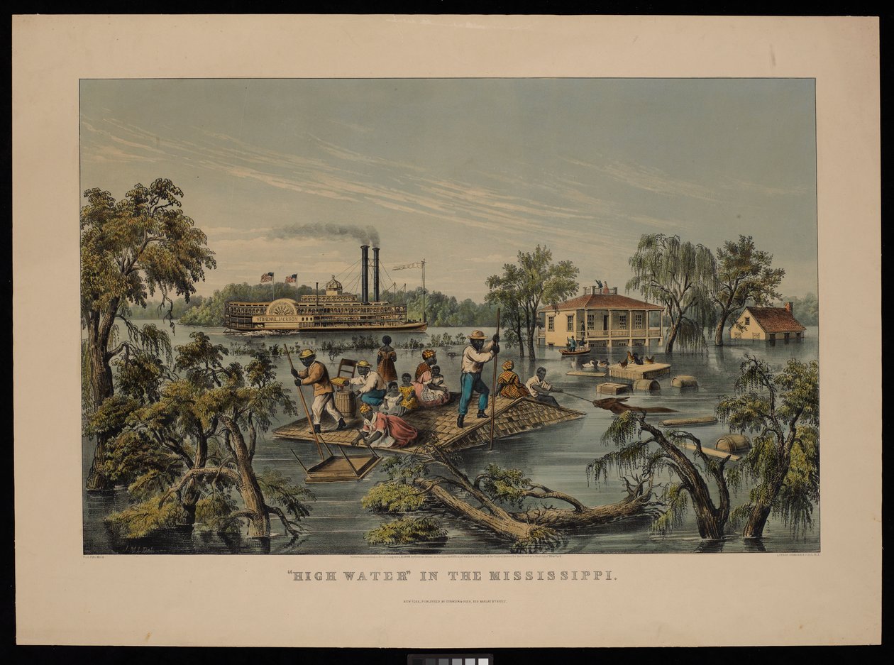 Vysoká voda v Mississippi od Frances Flora Bond (c.1812 76) Palmer