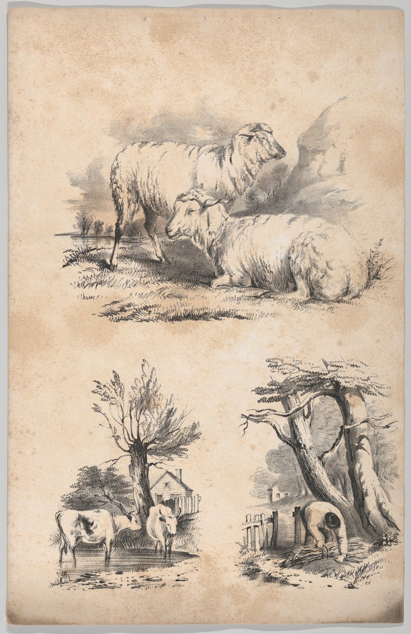Viněta se dvěma ovcemi, Viněta se dvěma krávami v bazénu a Viněta sběrače dřeva..., 1847. od Frances Flora Bond Palmer