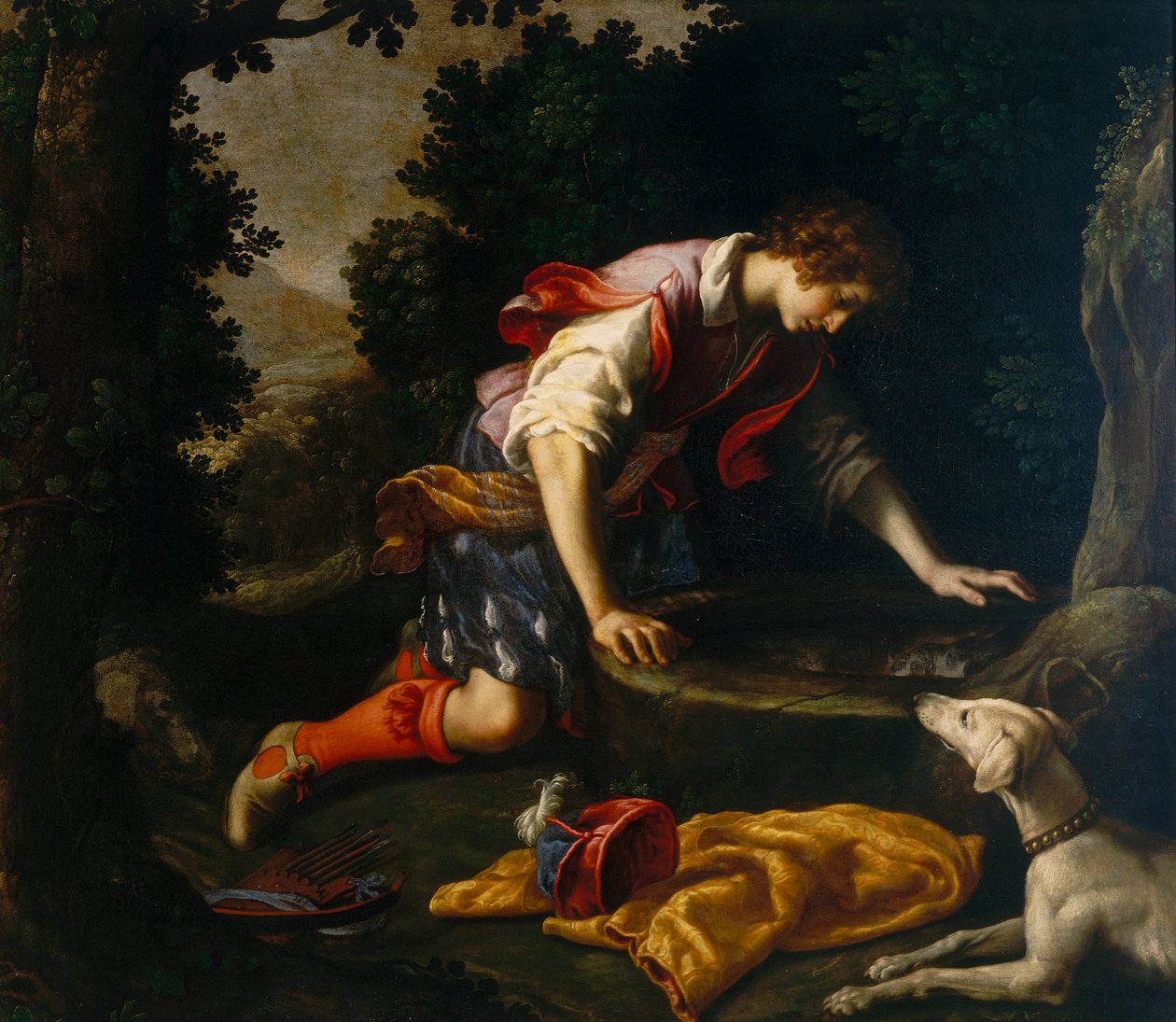 Narcis u pramene od Francesco Curradi