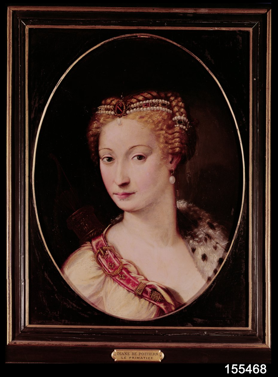Diane de Poitiers (1499-1566) (olej na břidlici) od Francesco Primaticcio