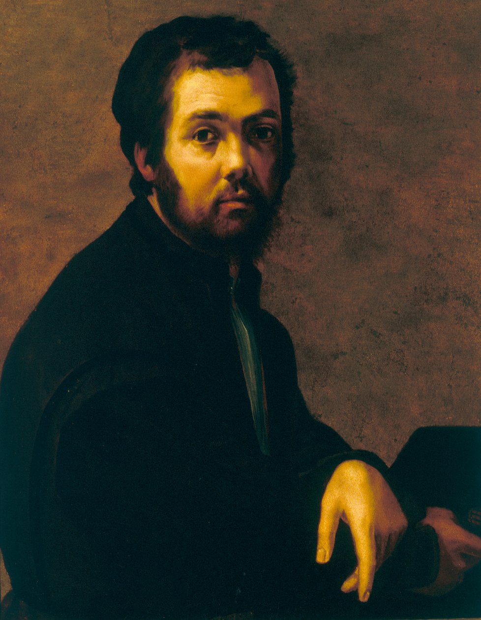Portrét muže od Francesco de Rossi Salviati Cecchino