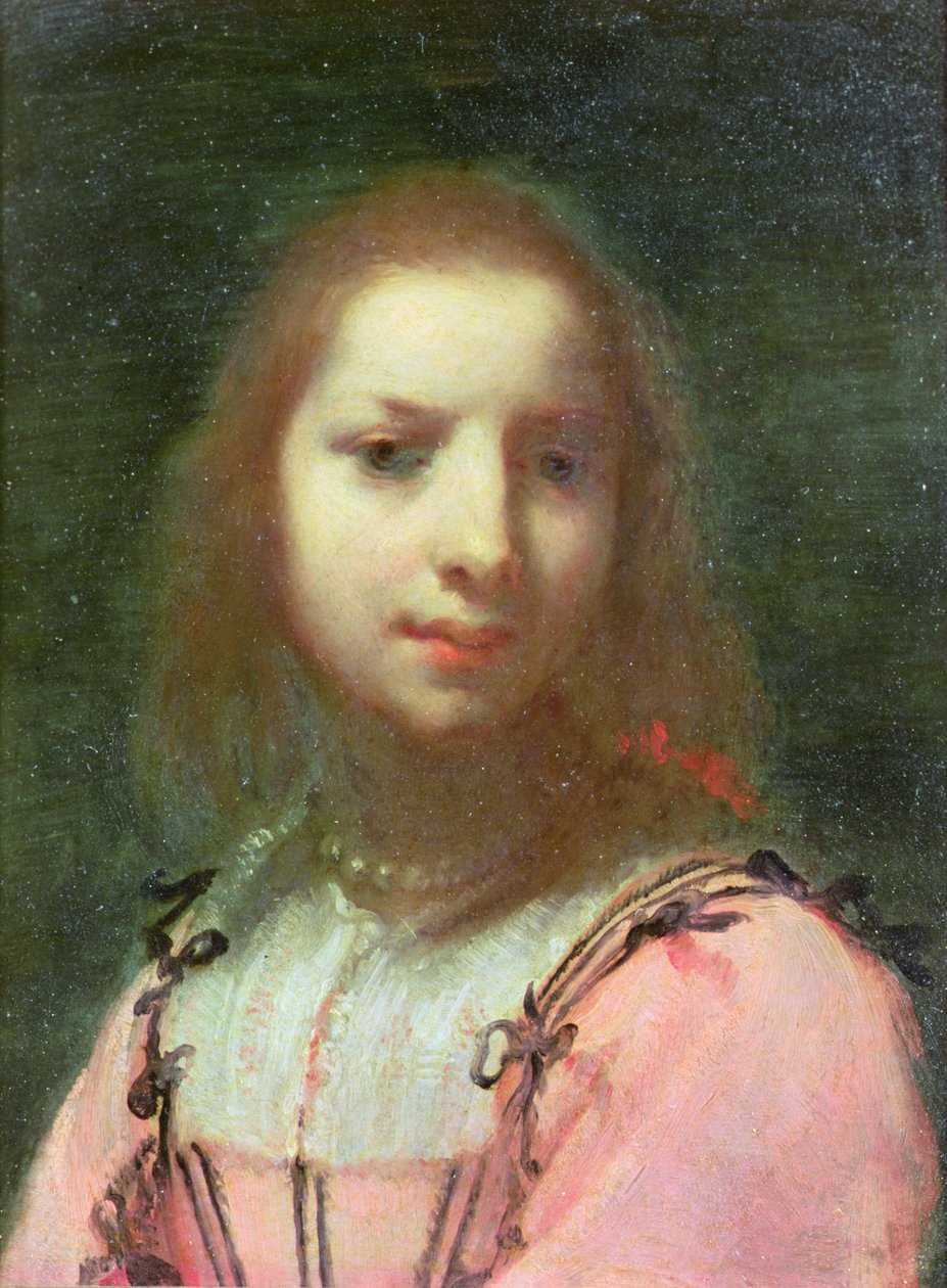 Portrét mladé ženy, cca 1640 (olej na mědi) od Francesco (attr. to) Furini