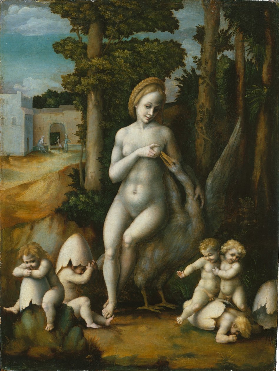 Leda a labuť od Francesco Bacchiacca