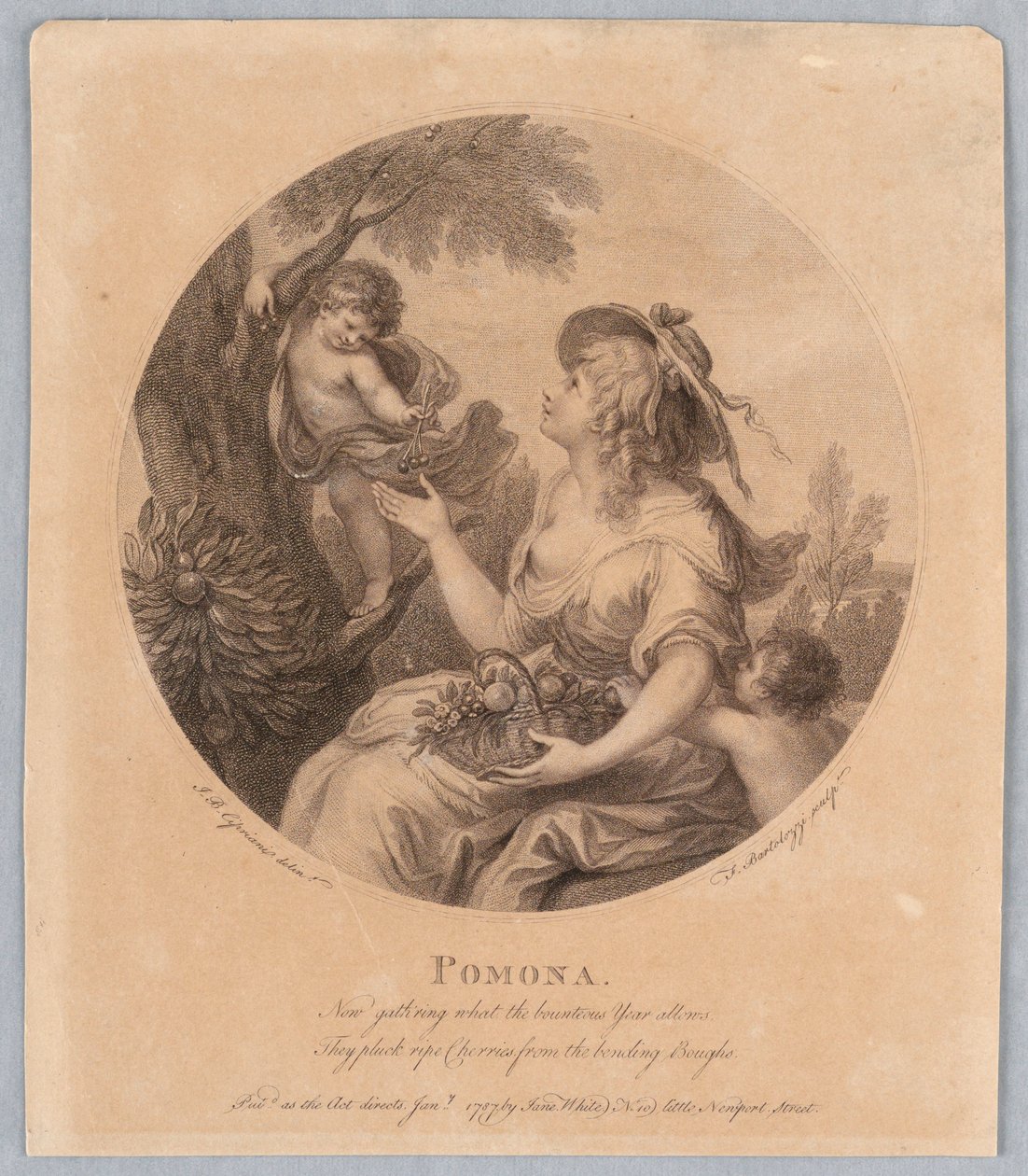 Pomona od Francesco Bartolozzi