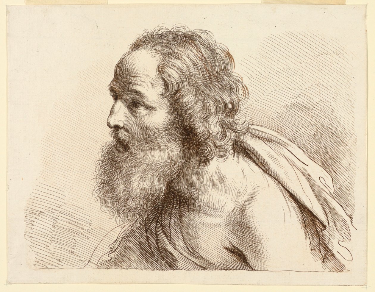 Portrait of an Old Man with a Beard, with Naked Shoulders   1236624   cs       czech Successfully Translated  Original: Hagar in de woestijn Translat: Hagar in de woestijn 1375529 cs czech Successfully Translated Original: Henri-Auguste, Comte de Brienne T od Francesco Bartolozzi