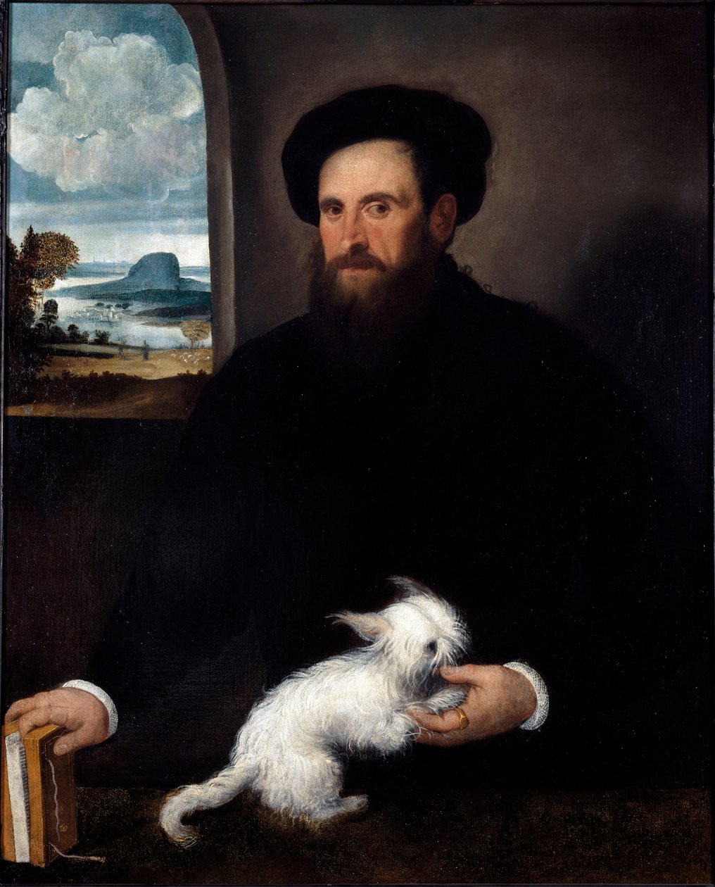 Obraz Portrét pána s malým psem od Francesca Beccaruzziho (asi 1492-1563) ca. 1540. Rozměr 101x84 cm Milán, Občanské sbírky hradu Sforzesco od Francesco Beccaruzzi