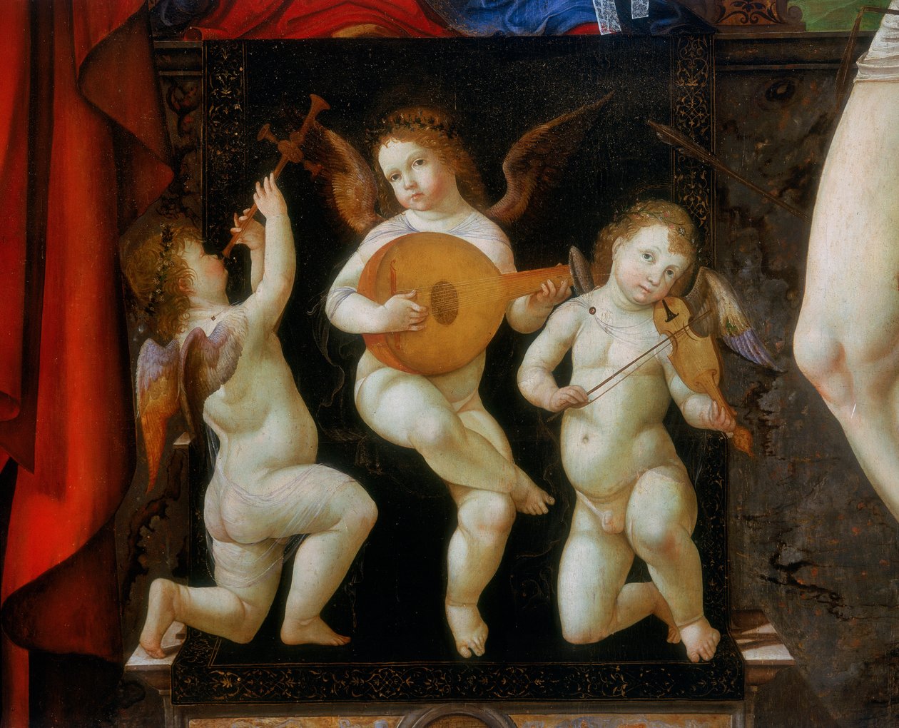 Tři hudební andělé. Detail oltářního kusu Madony trůnící se svatými Jeronýmem a Sebastianem, Francesco Bianchi Ferrari, kostel San Pietro, Modena od Francesco Bianchi Ferrari