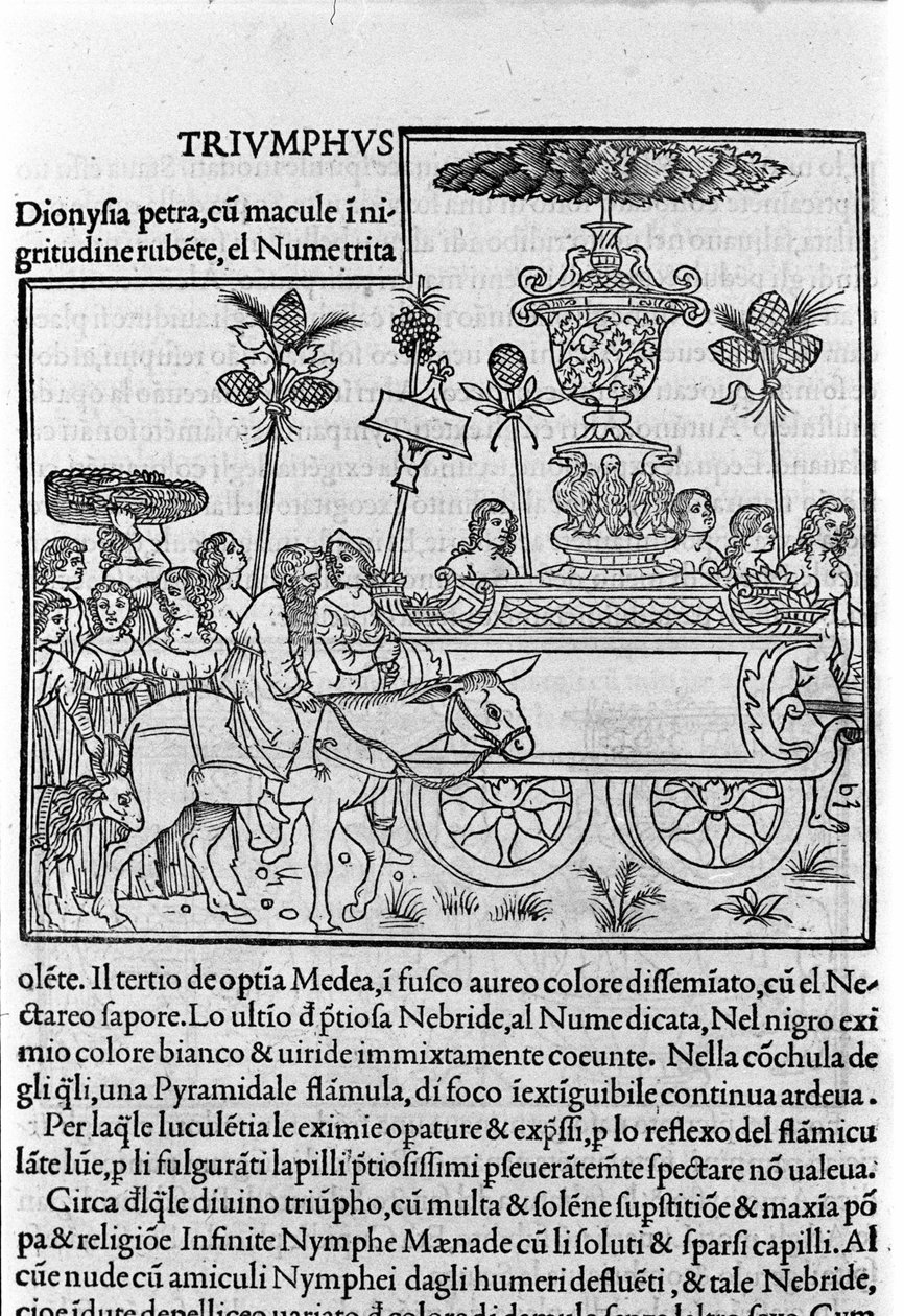 Rytina do „Hypnerotomachia Polyphili“ (sen Poliphila) od dominikánského mnicha Francesca Colonna, Benátky od Francesco Colonna
