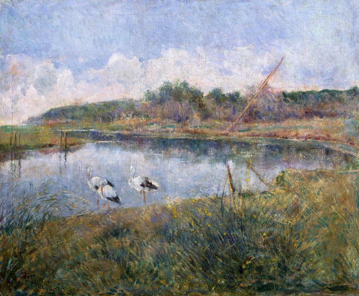 Massaciuccoli od Francesco Fanelli