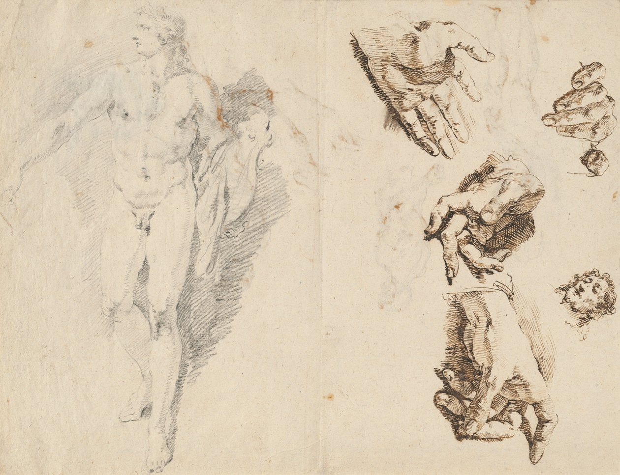 Apollo a studie umělcovy vlastní ruky [recto] od Francesco Fontebasso