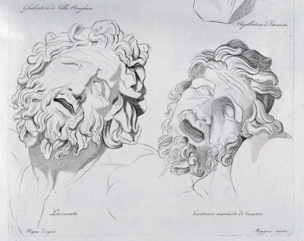 Heads of Laocoon a Kentaur moriente od Canova od Francesco Hayez