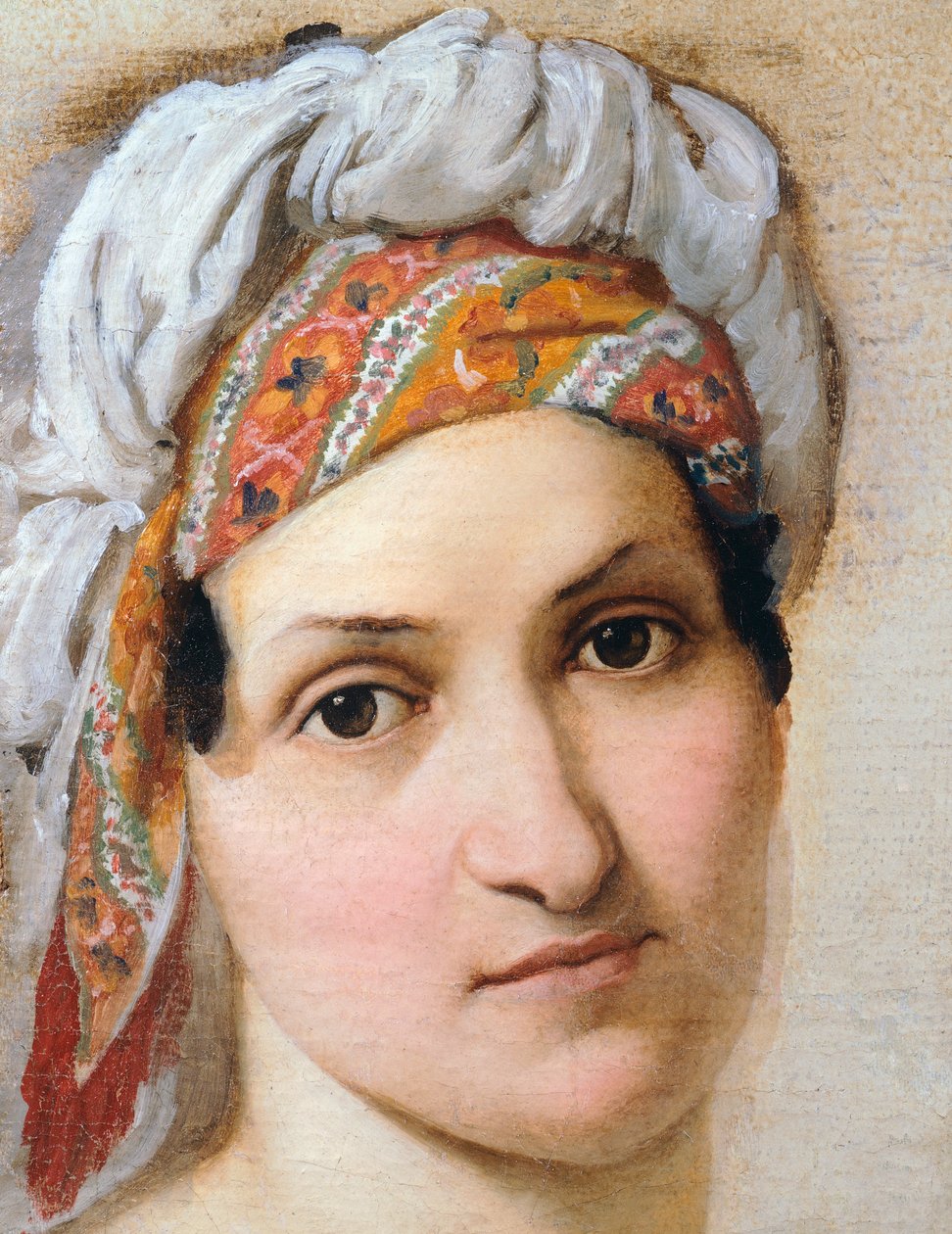 Portrét manželky Vincenzy Scaccia, Francesco Hayez (1791-1882) od Francesco Hayez