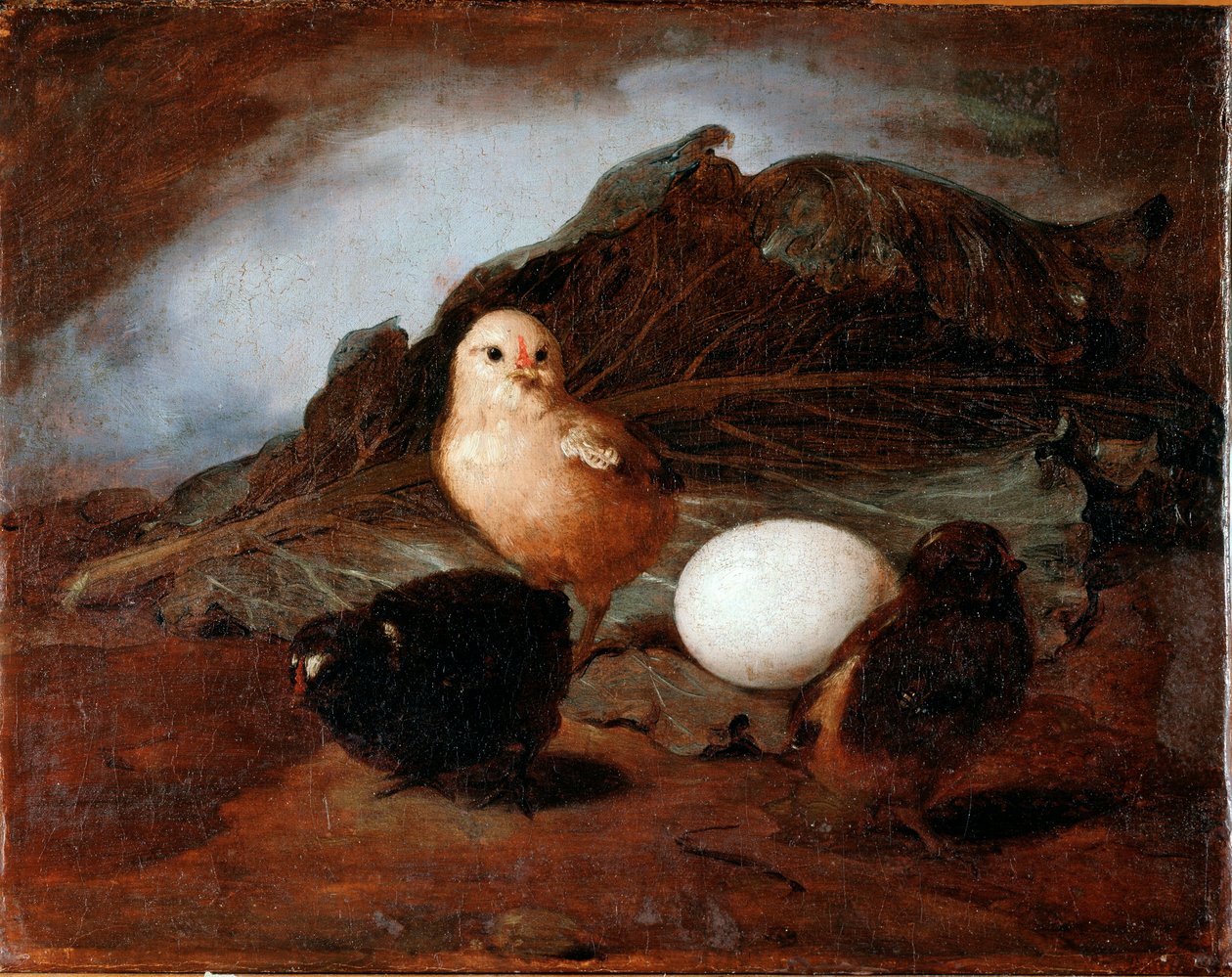 Kuřátka (chicks) Malba Francesca Inganniho (1793-1873) 1862 Rozměr 25,6x33,2 cm Genes, Galleria d