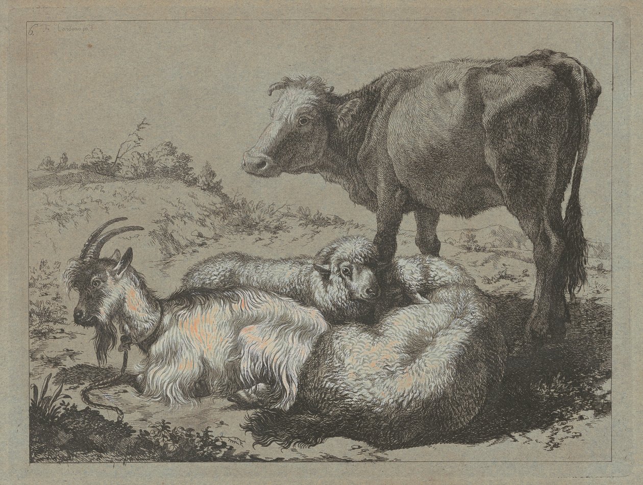 Stojící vůl, dvě ovce a koza, c. 1762. od Francesco Londonio