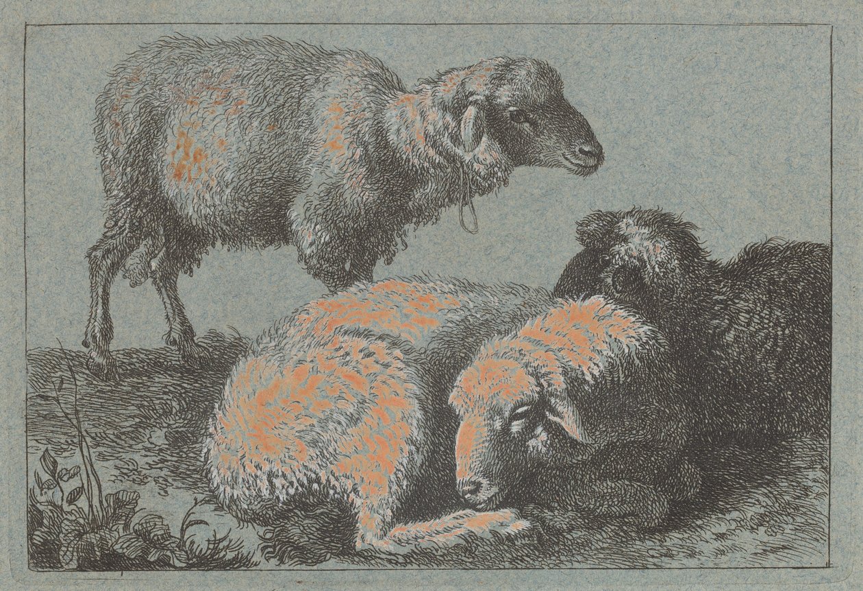 Dvě ležící ovce a jedna stojící ovce, 17571758. od Francesco Londonio