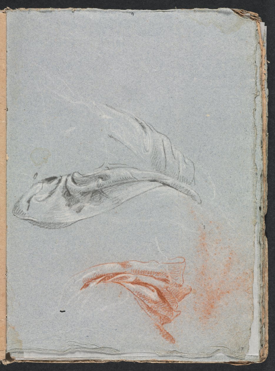 Verona Sketchbook: Drapery Studies strana 17, 1760. od Francesco Lorenzi