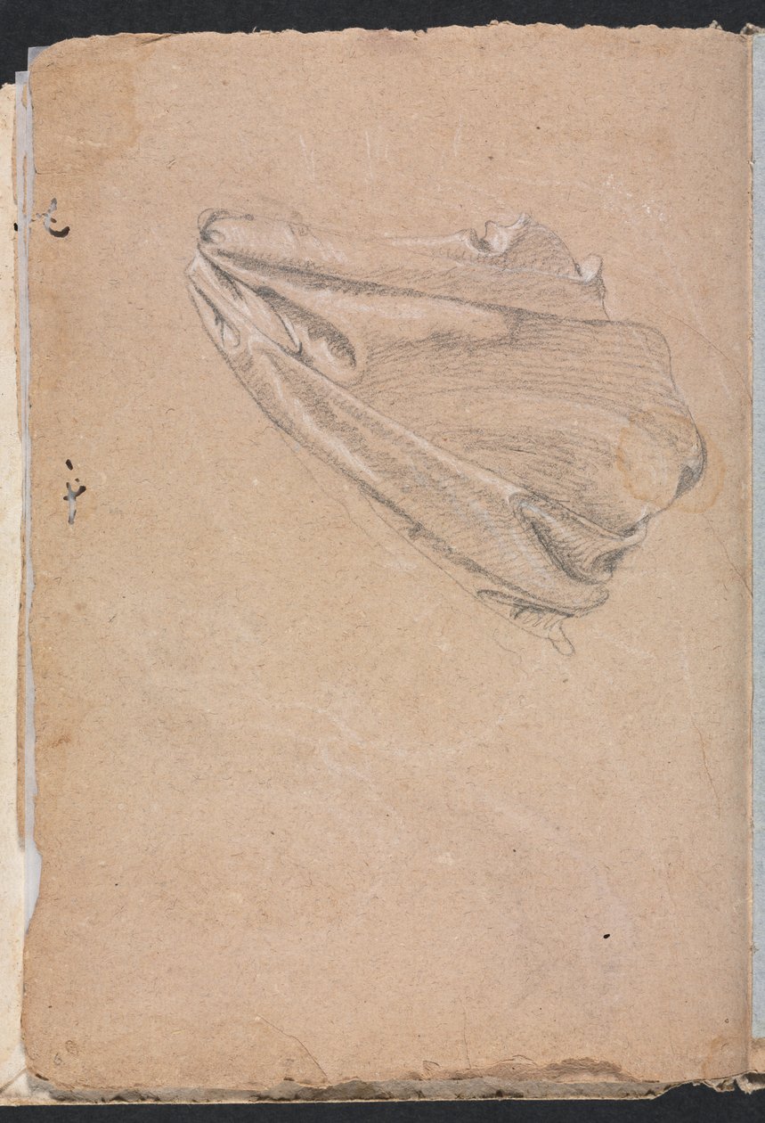 Verona Sketchbook: Drapery study strana 6, 1760. od Francesco Lorenzi