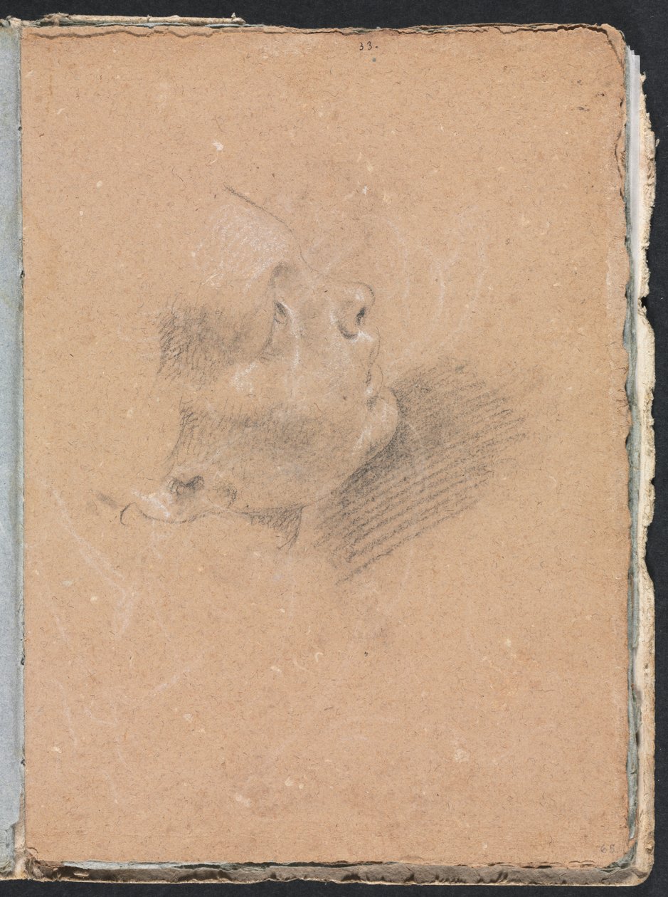 Verona Sketchbook: Ženský profil (strana 65) od Francesco Lorenzi