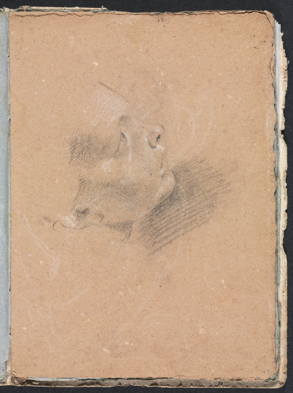Verona Sketchbook: Ženský profil, strana 65, 1760. od Francesco Lorenzi