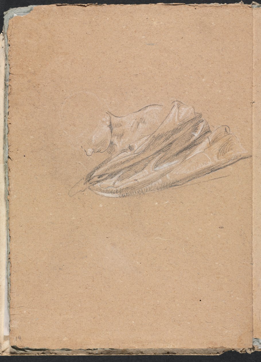 Verona Sketchbook: Hlava a ramena se závěsem strana 14, 1760. od Francesco Lorenzi