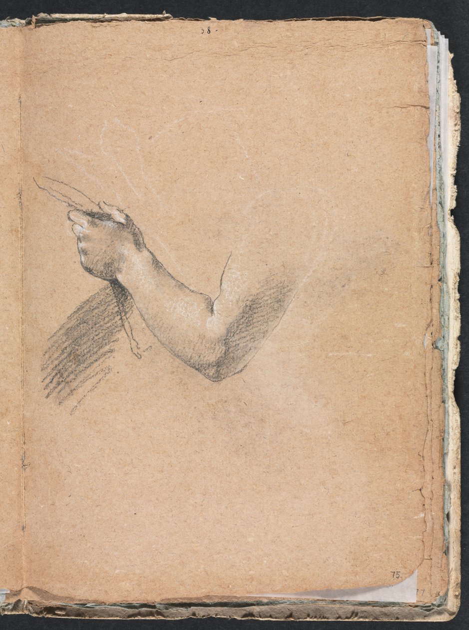 Verona Sketchbook: Levá paže a ruka (strana 75) od Francesco Lorenzi