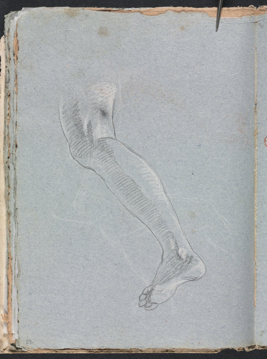 Verona Sketchbook: Levá noha (strana 28) od Francesco Lorenzi