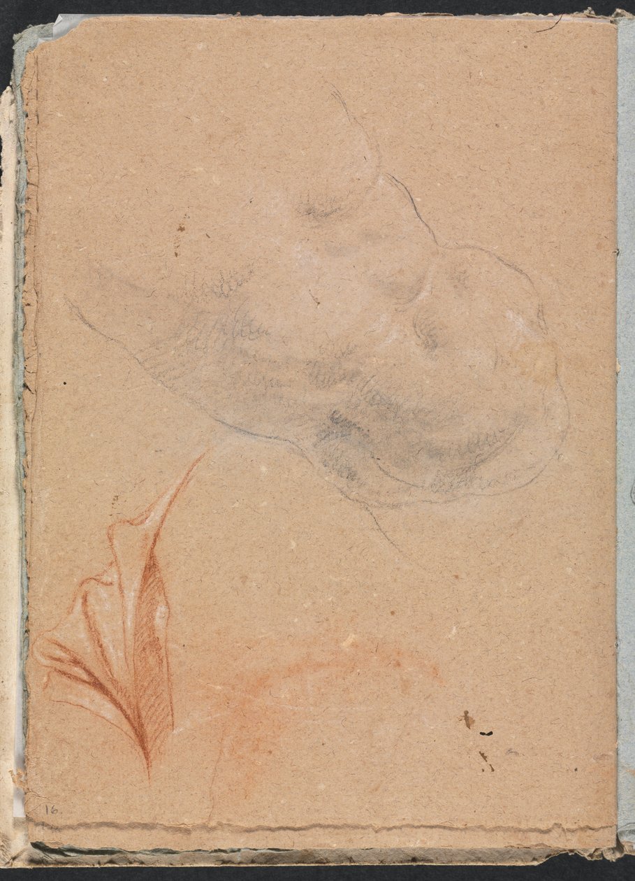 Verona Sketchbook: Nahé mužské torzo s drapériemi, strana 16, 1760. od Francesco Lorenzi