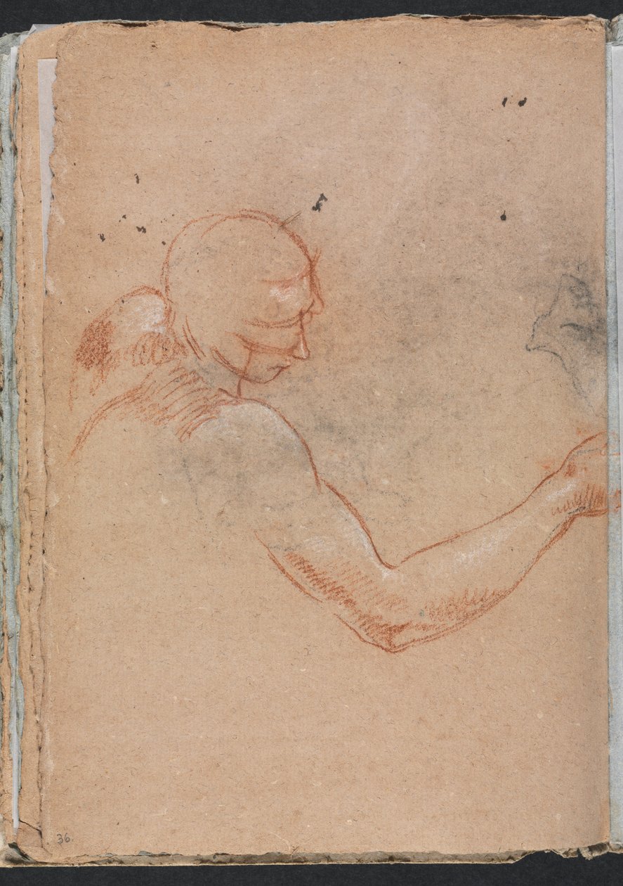 Verona Sketchbook: Akt s hlavou a pravou paží, strana 36, 1760. od Francesco Lorenzi