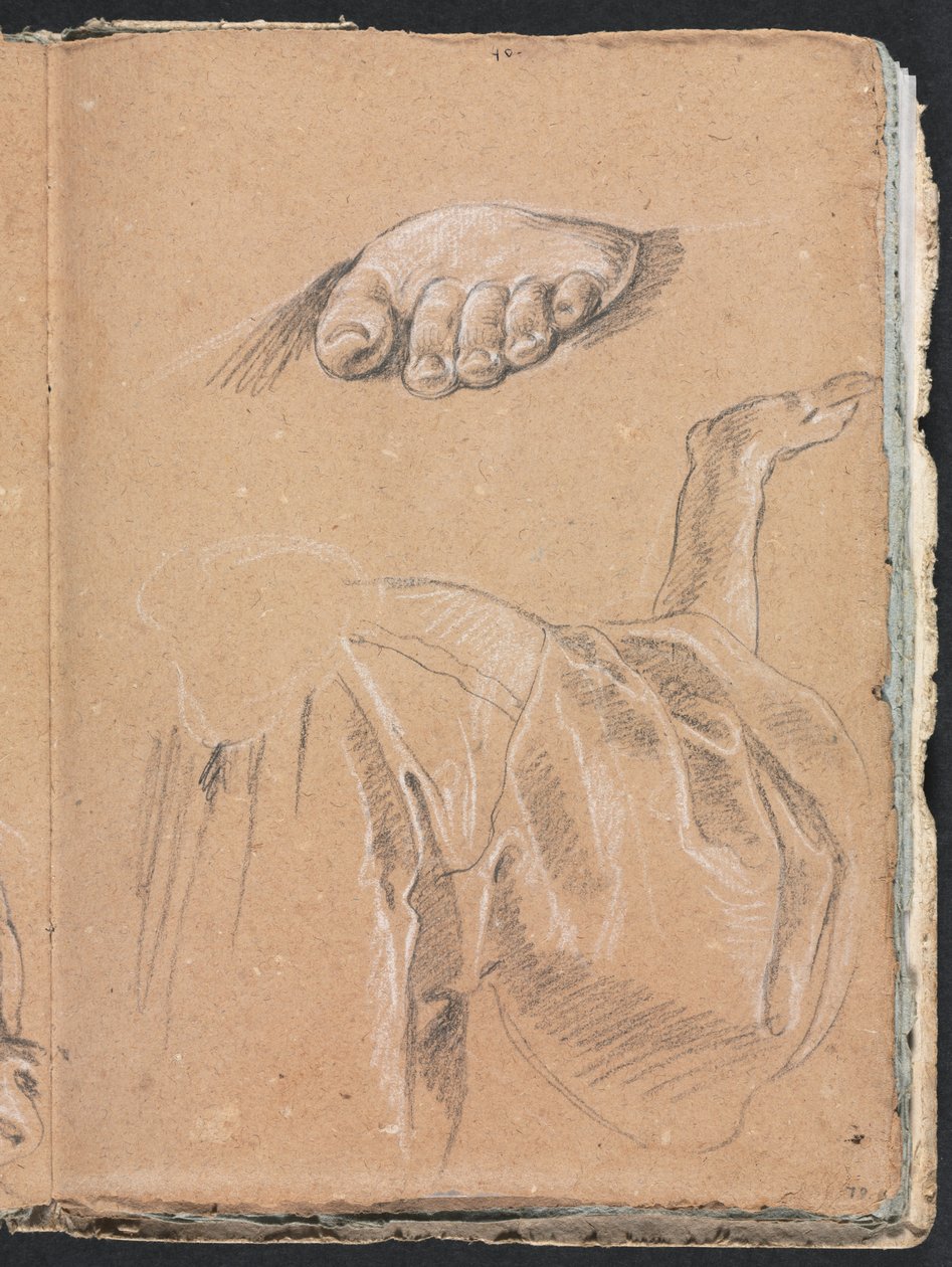 Verona Sketchbook: Studie studie levé nohy a závěsu s pravou paží, strana 79, 1760. od Francesco Lorenzi