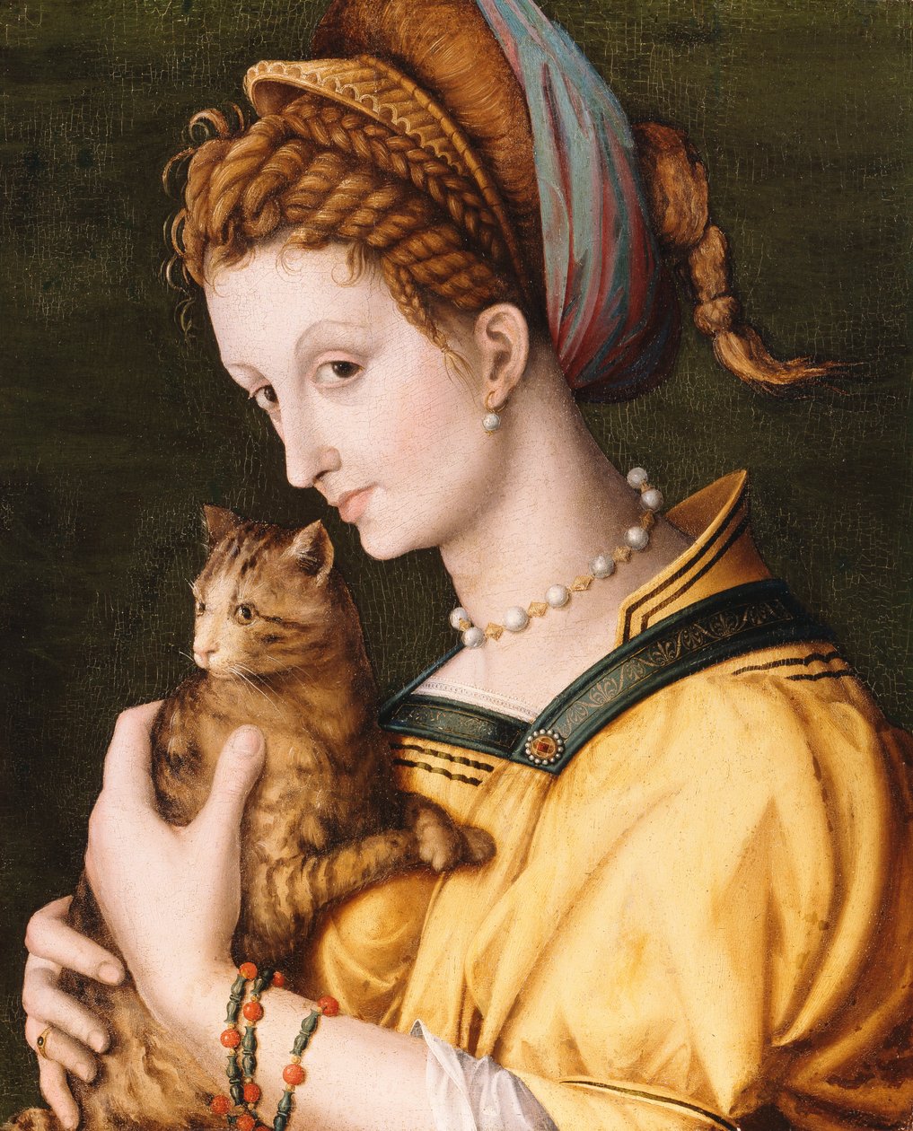 Dáma s kočkou, kolem 1525-30 od Francesco Ubertini Bacchiacca