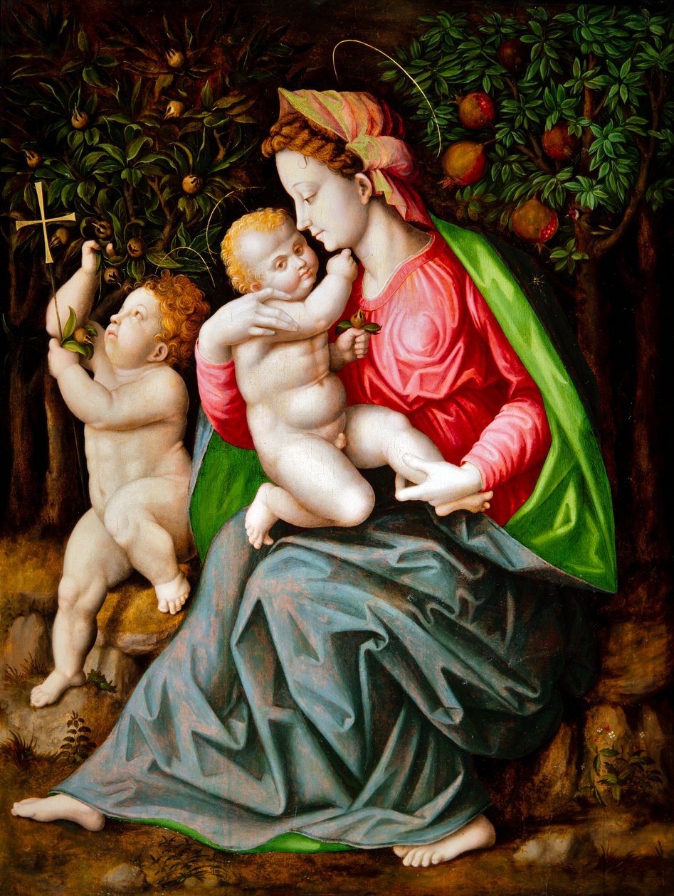 Panna s dítětem a svatý Jan od Francesco Ubertini Il Bacchiacca