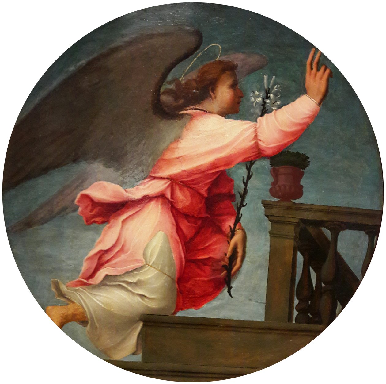 Anděl z dvojice Zvěstování od Francesco di Cristofano Franciabigio