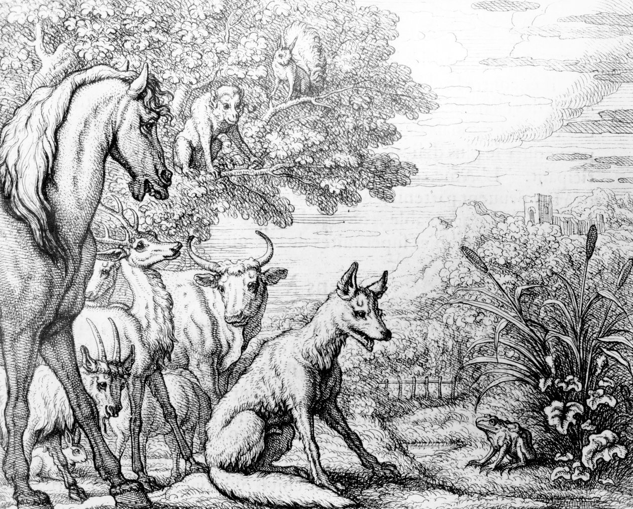 Ctižádostivá žába, ilustrace z "Ezopových bajek", 1687 od Francis Barlow