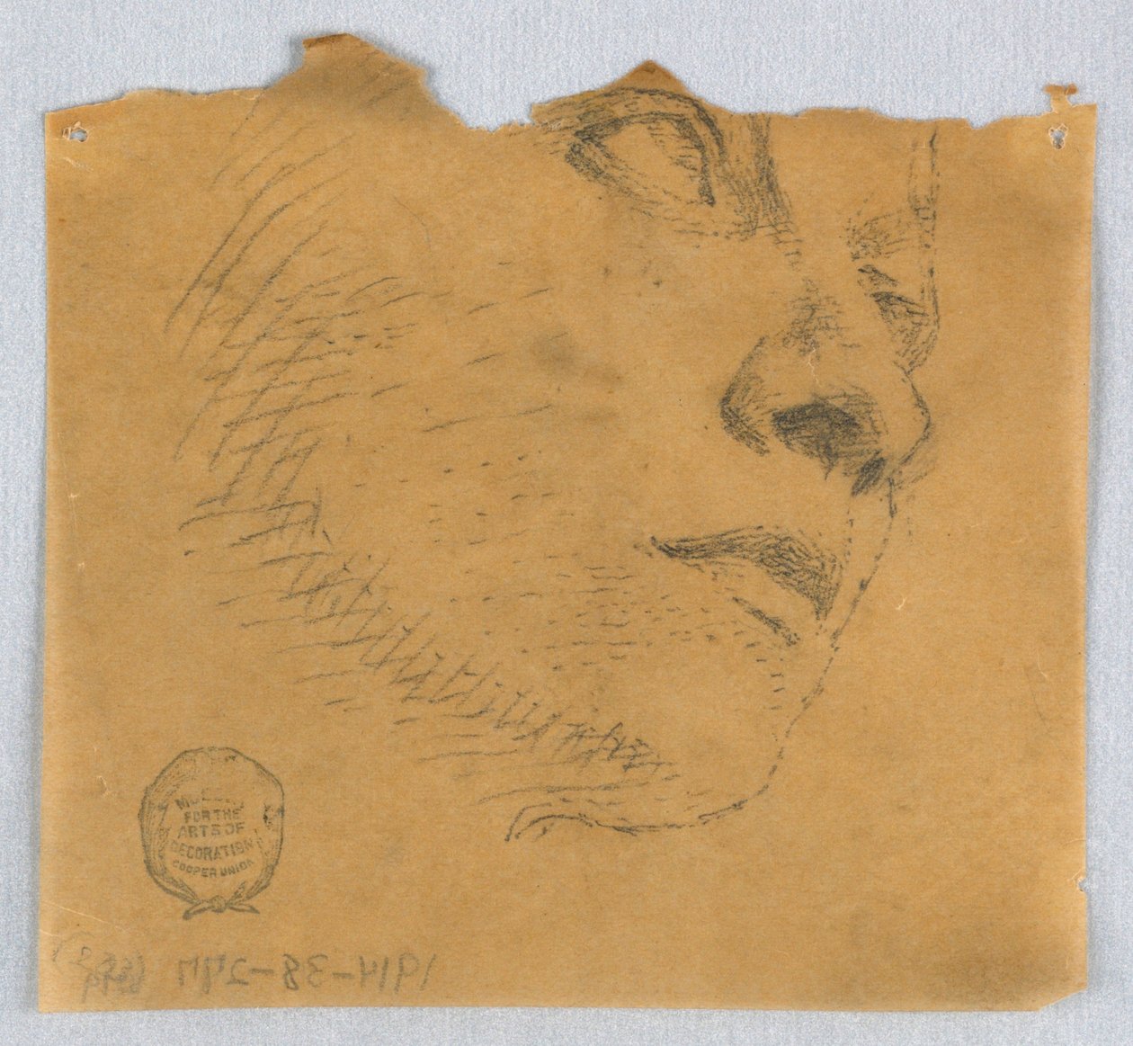 Částečný náčrt obličeje od Francis Augustus Lathrop
