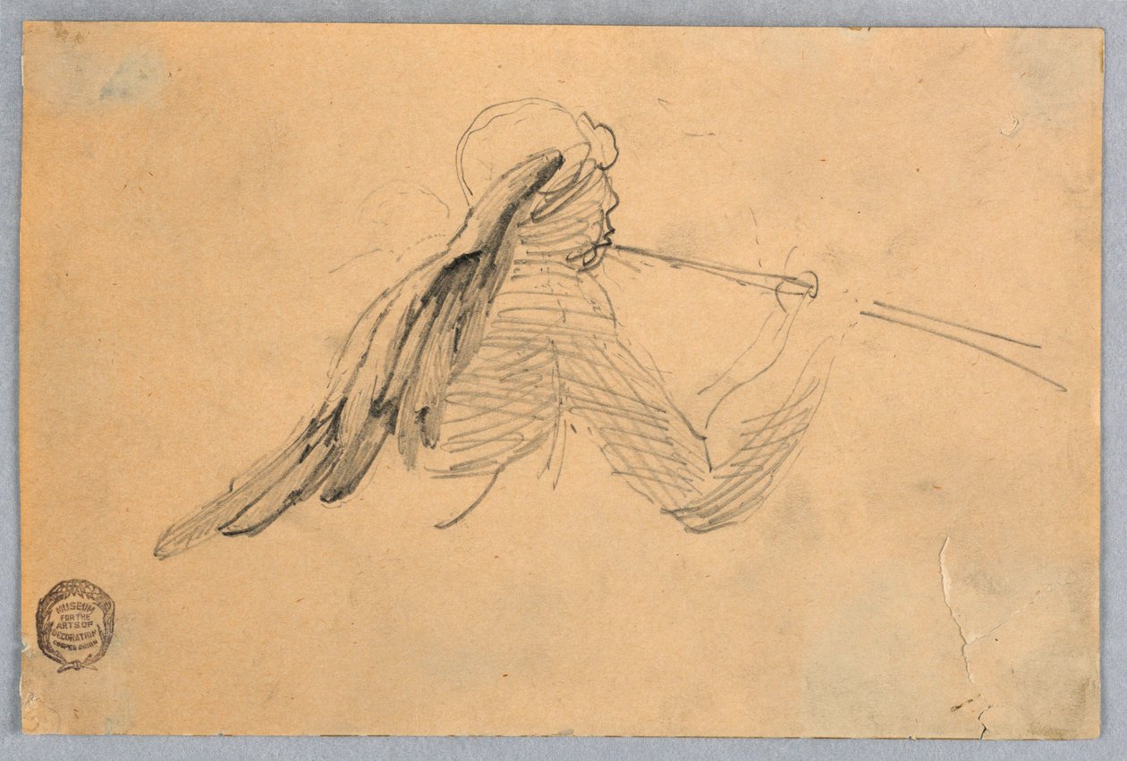 Skica pro anděla od Francis Augustus Lathrop