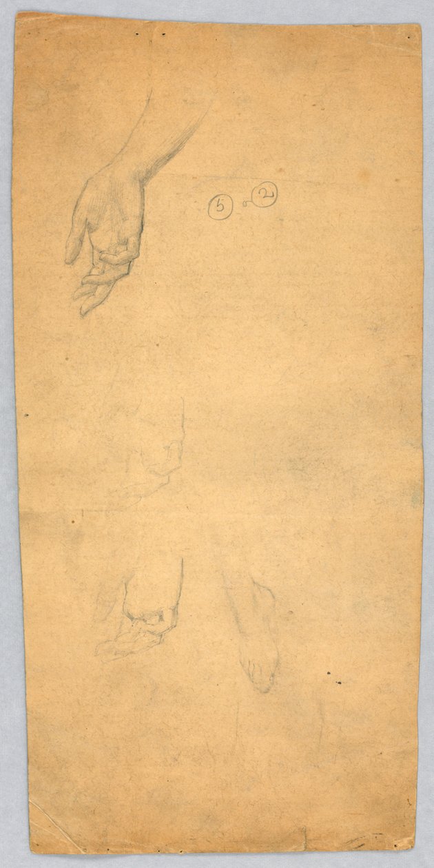 Studie rukou a nohou od Francis Augustus Lathrop