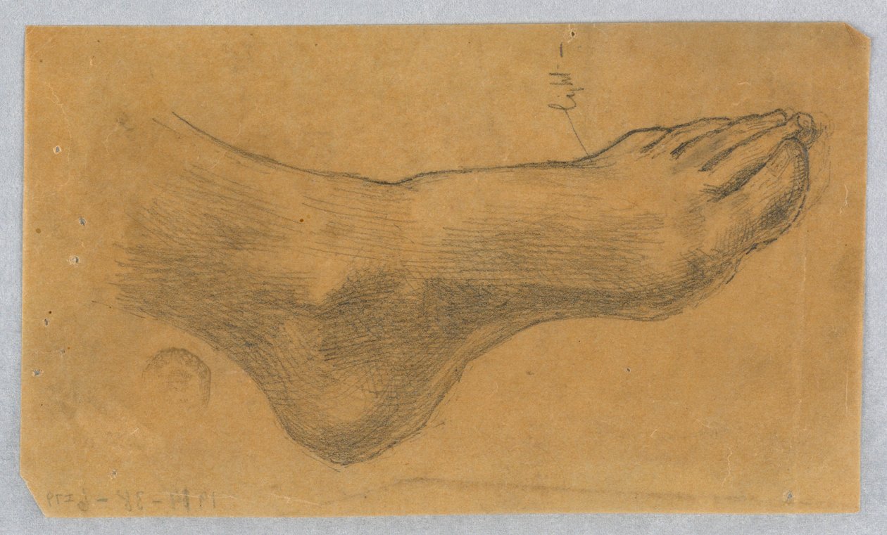 Studie na "Diana a její účastníci mezi souhvězdími" od Francis Augustus Lathrop