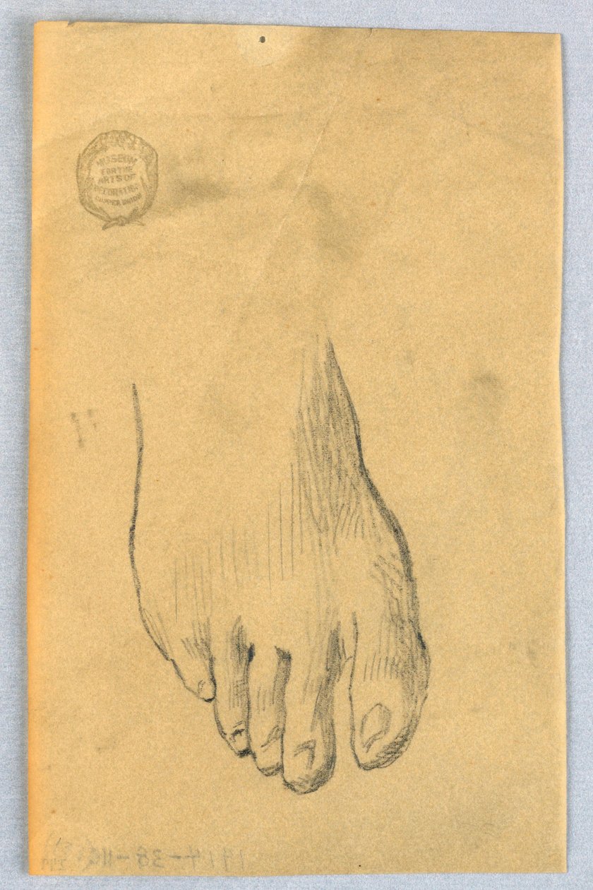 Studium pravé nohy od Francis Augustus Lathrop