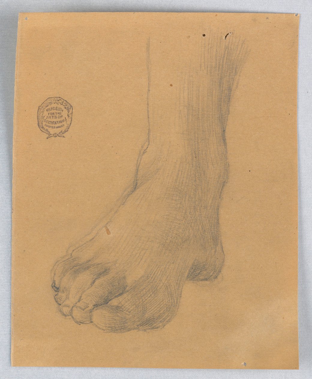 Studium pravé nohy od Francis Augustus Lathrop