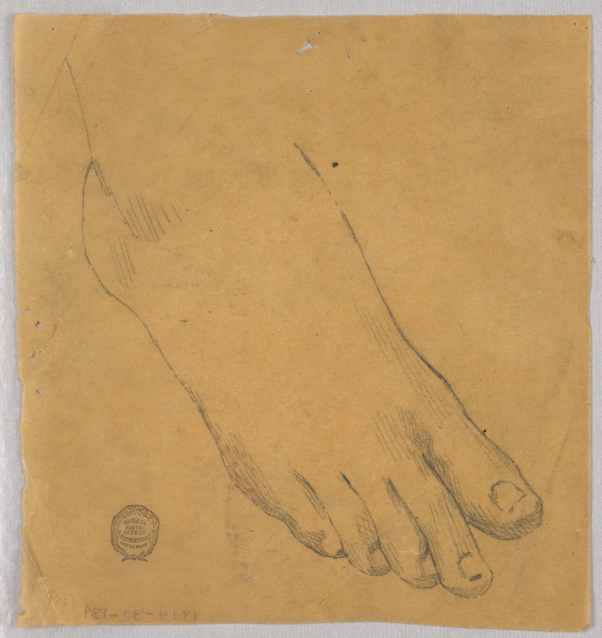 Studium pravé nohy od Francis Augustus Lathrop