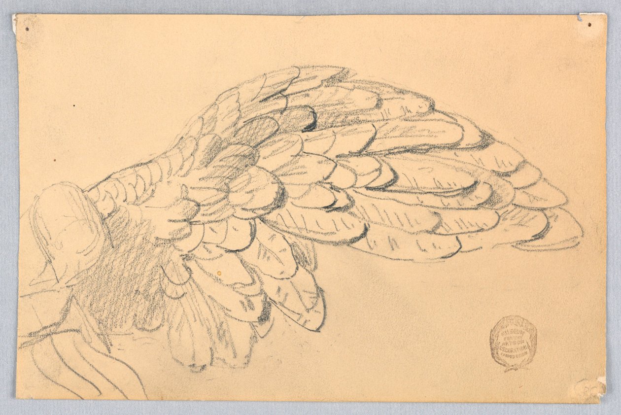 Studie křídla od Francis Augustus Lathrop