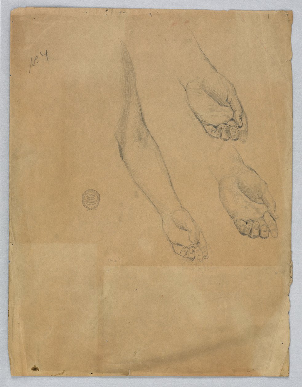 Tři studie levé ruky od Francis Augustus Lathrop