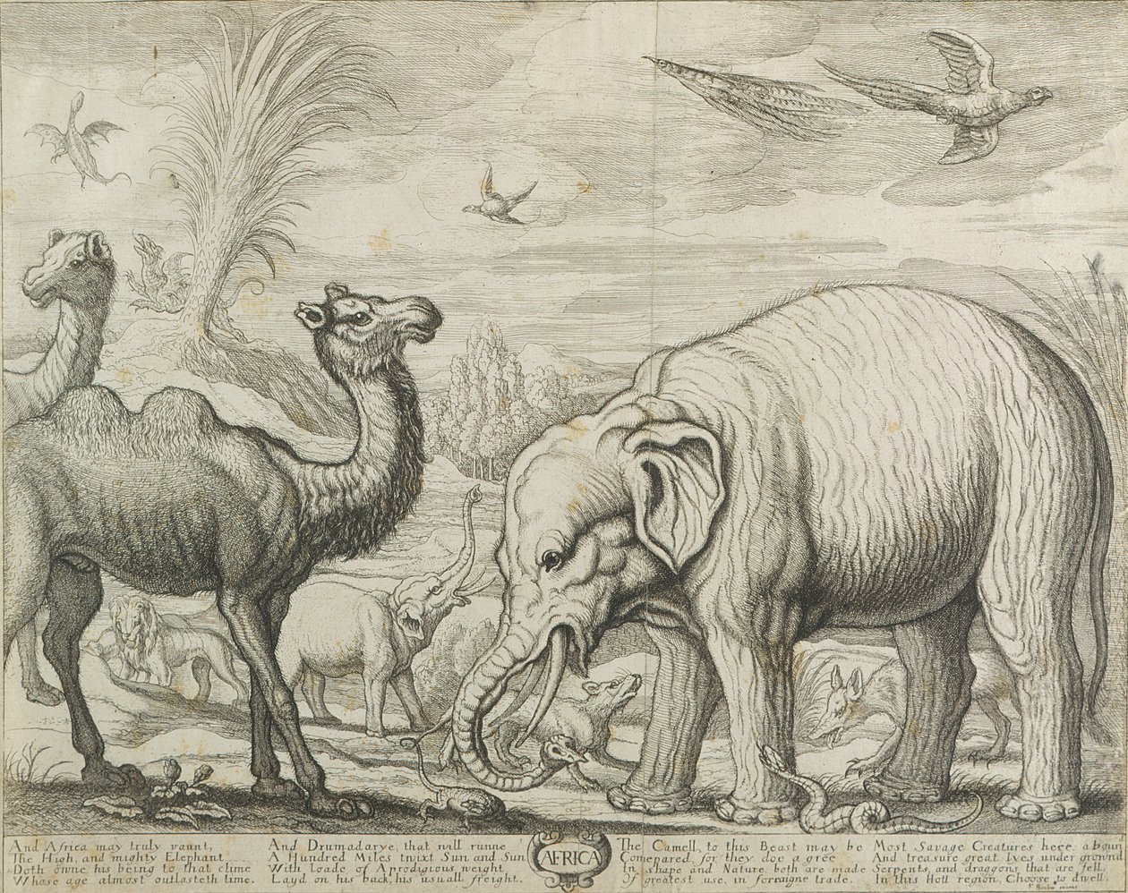 Afrika, 1672 od Francis Barlow