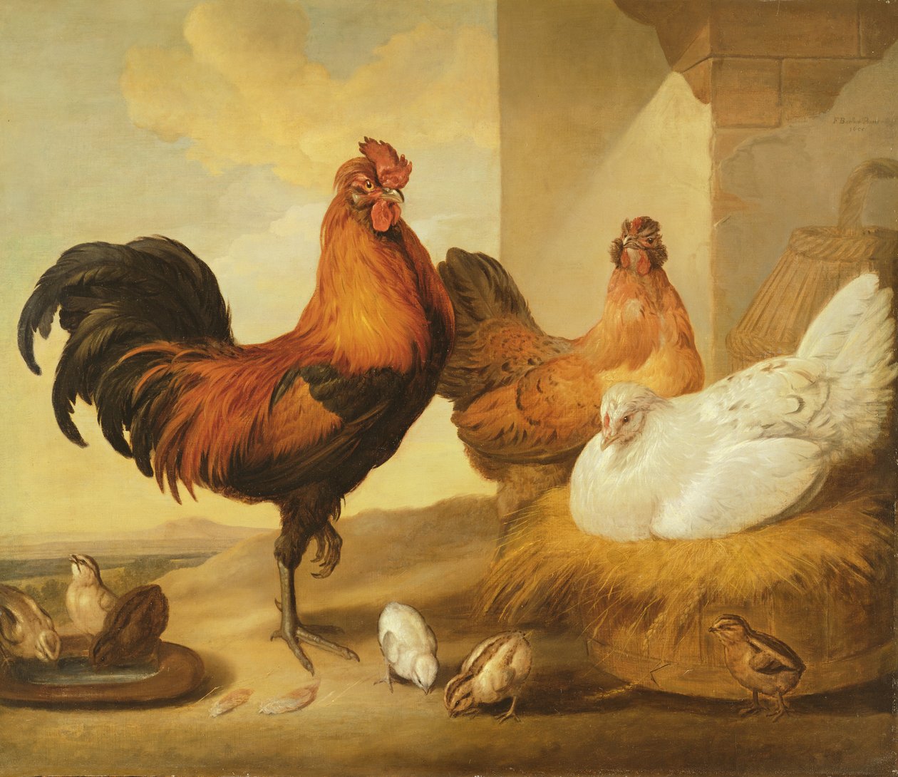 Kohout domácí, slepice a kuřata, 1655 od Francis Barlow