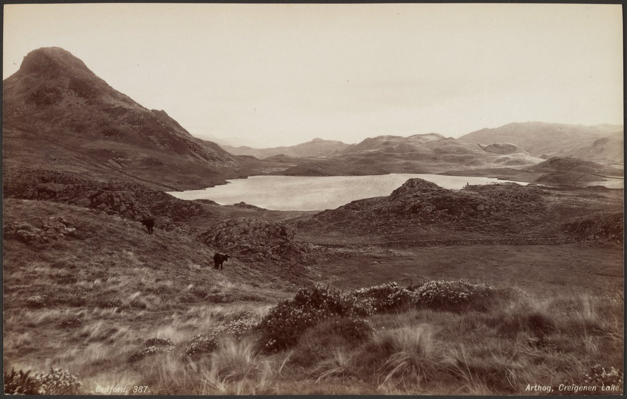 Arthog, jezero Creigene od Francis Bedford