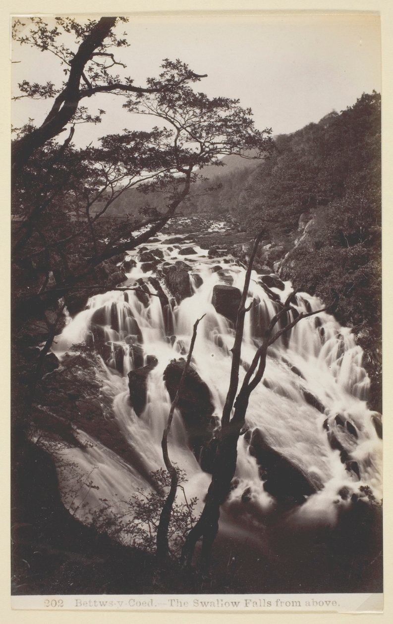 Betws-y Coed, Vlaštovka padá shora od Francis Bedford